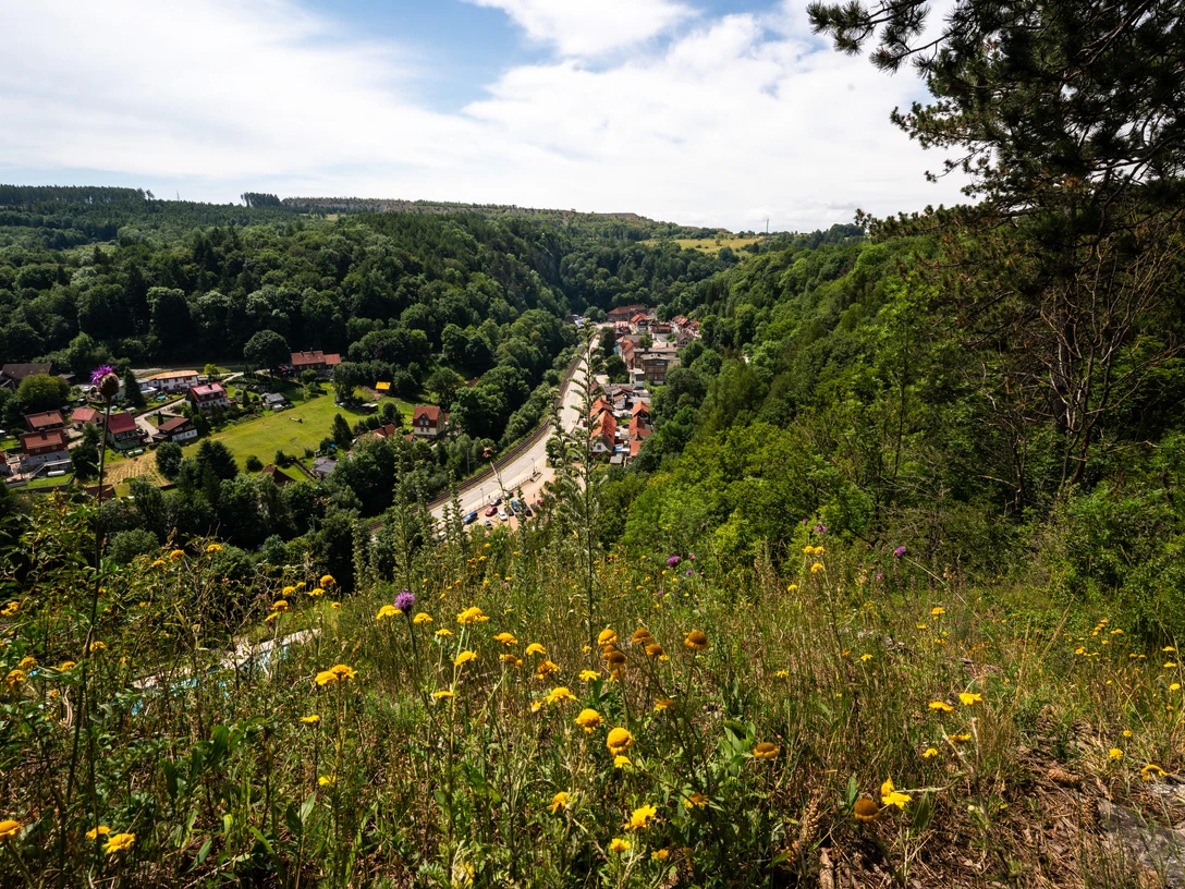 Blick auf Rübeland am Harzer-Hexen-Stieg Umgeben von grünen Bergen und blühenden Wiesen liegt der Ort Rübeland im Tal.