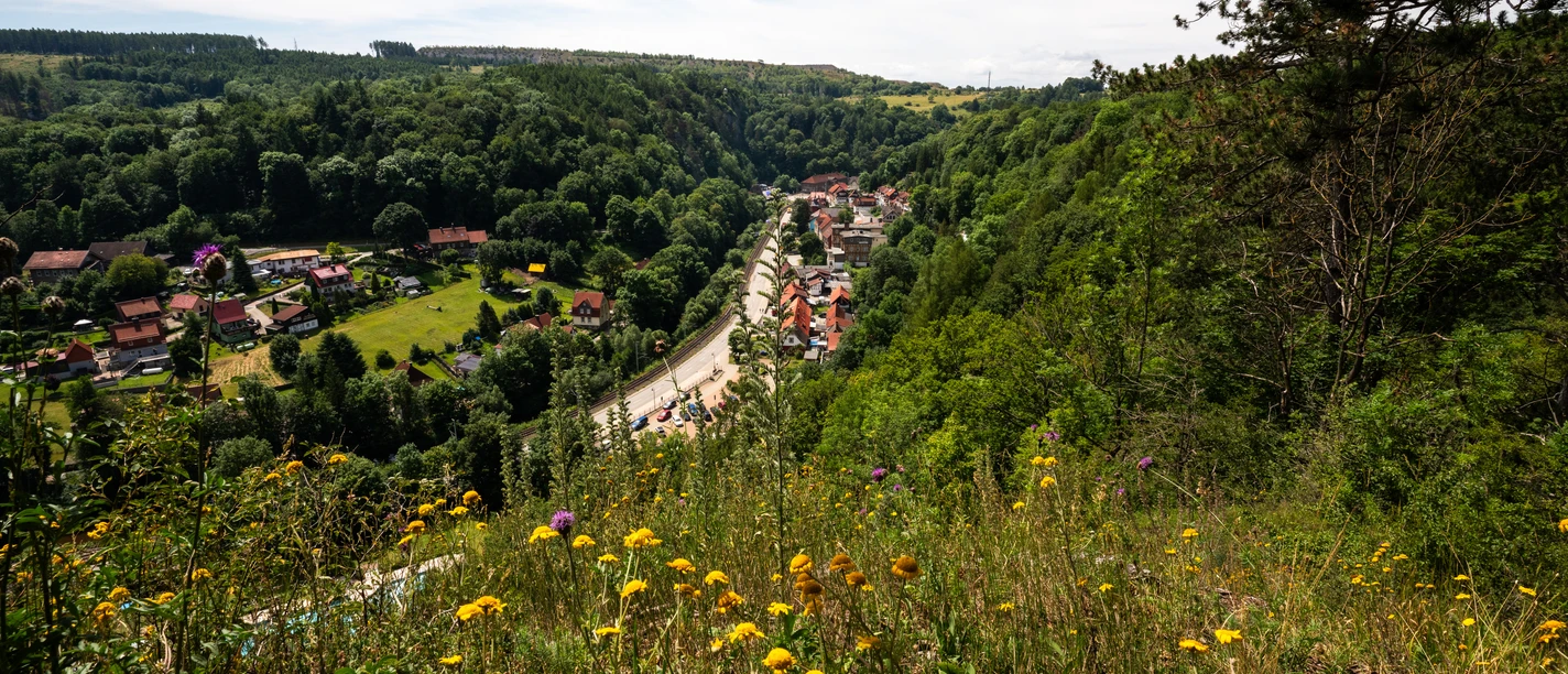 Blick auf Rübeland am Harzer-Hexen-Stieg Umgeben von grünen Bergen und blühenden Wiesen liegt der Ort Rübeland im Tal.