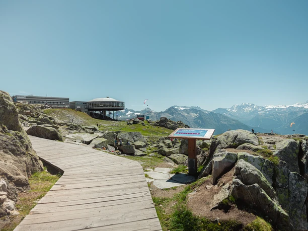 Sommeraussicht und barrierefreier Weg beim View Point Bettmerhorn Das View Point Package Aletsch zeigt den Aussichtspunkt Bettmerhorn mit Holzsteg, Infotafel und Blick über die Sommerlandschaft der Aletsch Arena
