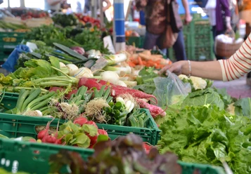 Frisch und Regional - Gnarrenburger Wochenmarkt