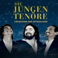 QBild_Die Jungen Tenöre.jpg