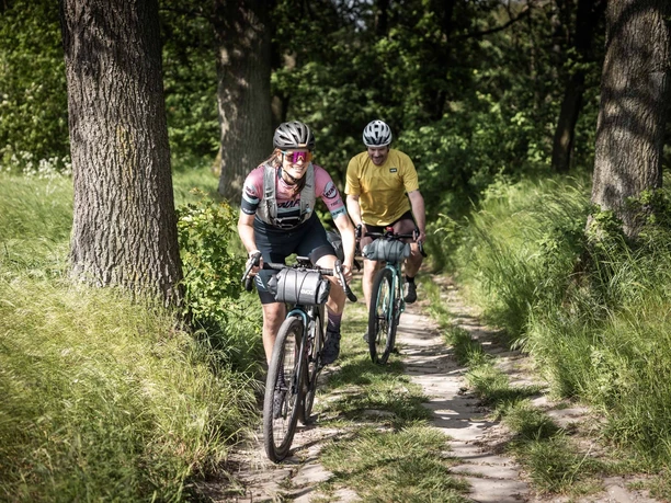 RockHead - Zwischen Herrenleite und Dorf Wehlen