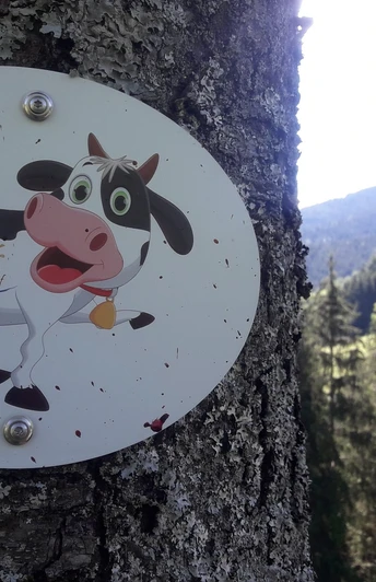 Löcherhansen Rundweg