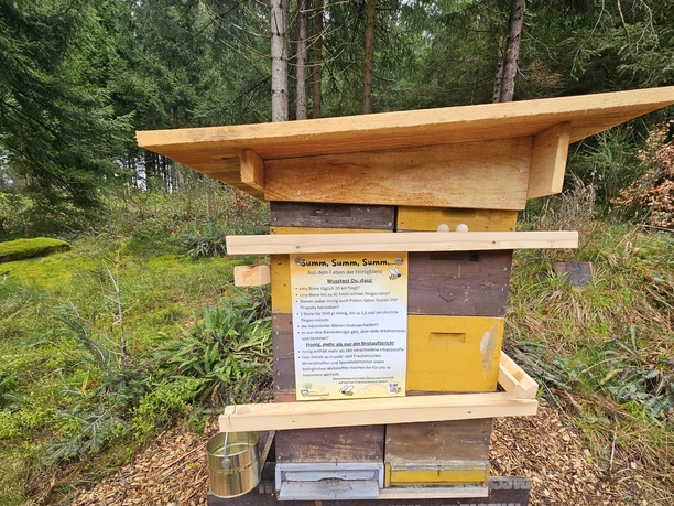 Bienenkugelbahn Bienenkugelbahn