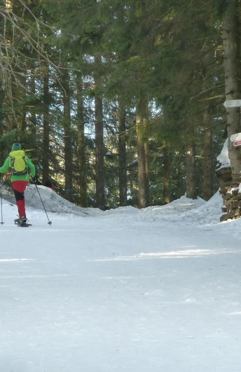 Schneeschuhwanderer am Seibelseckle am Waldrand