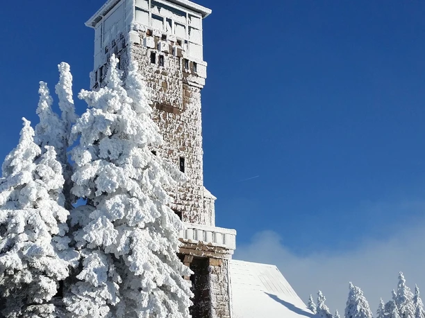 Hornisgrinde-Aussichtsturm im Winterkleid vor stahlblauem Himmel eingerahmt von verschneiten Bäumen