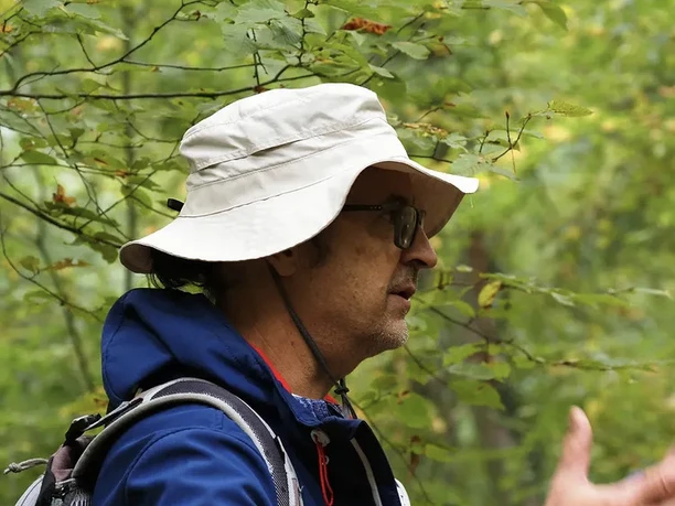 Hans Steiner