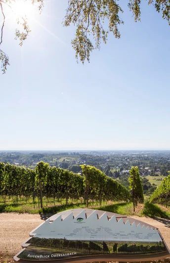 Atemberaubenden Aussicht in die Rheinebene