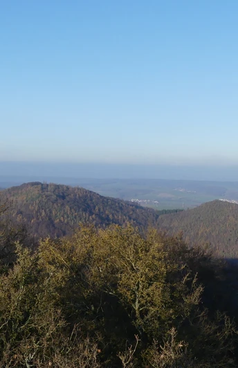 Ausblick vom Aussichtsturm auf dem Homberg