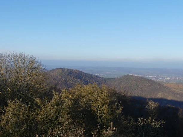 Ausblick vom Aussichtsturm auf dem Homberg