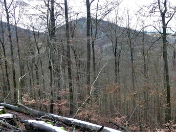 Durchblick zum Bilstein