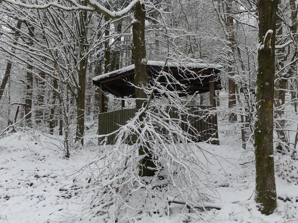 Schutzhütte am Kniebrecher