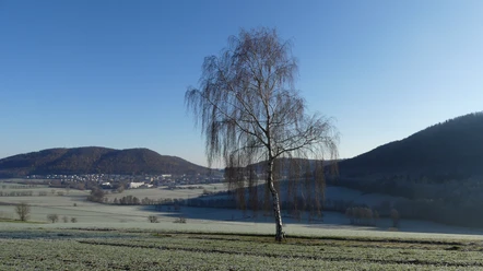Blick auf Reinhardshausen und das Wölftetal