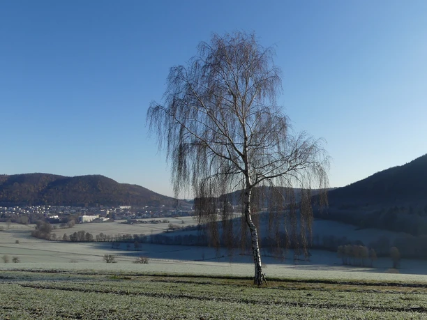 Blick auf Reinhardshausen und das Wölftetal