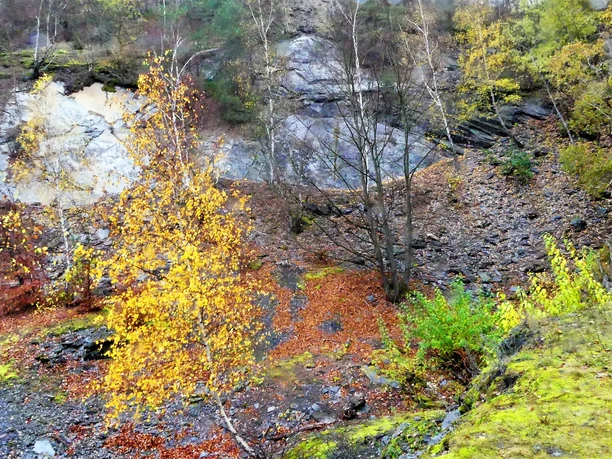 Alter Schieferbruch am Hahnberg