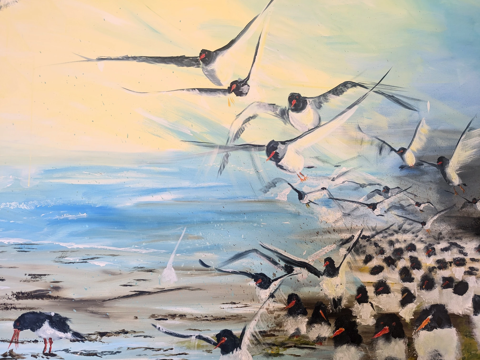 Austernfischer Flug ins Licht 120cm x150cm .jpg