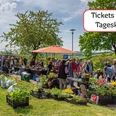 Frühling Tickets an der Tageskasse