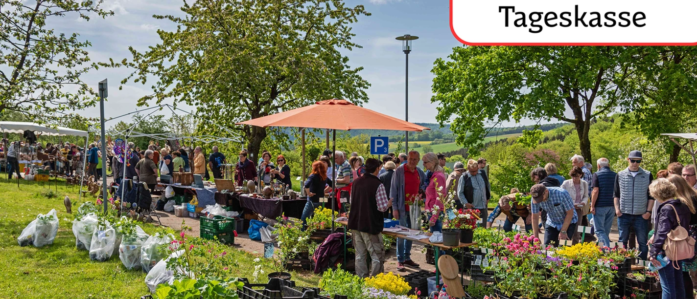 Frühling Tickets an der Tageskasse