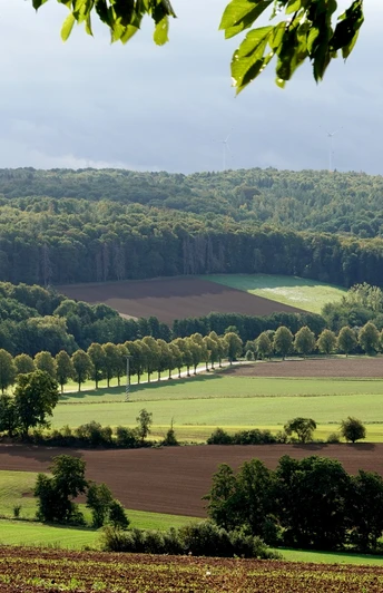 hügelige Landschaft im Fachwerk5Eck
