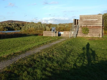 Vogelbeobachtung Leinepolder