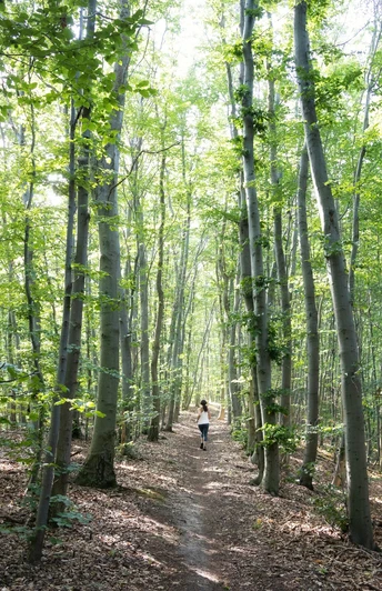 Wandern im Salzgitter Höhenzug
