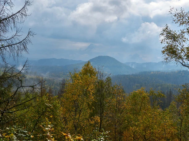Aussicht vom Großen Pohlshorn Herbstliche Waldlandschaft mit bunten Bäumen und nebelverhangenen Bergen im Hintergrund.