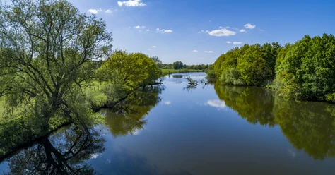 Borkener Paradies Flusslandschaft mit klarer Wasserfläche, umgeben von grünen Bäumen unter blauem Himmel.