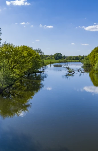 Borkener Paradies Flusslandschaft mit klarer Wasserfläche, umgeben von grünen Bäumen unter blauem Himmel.