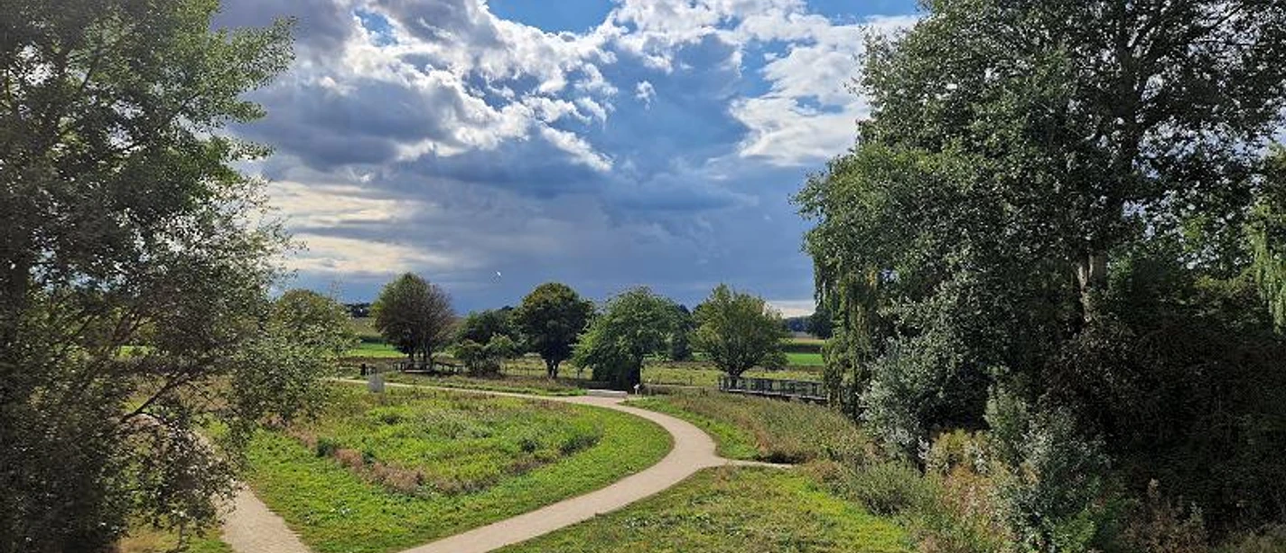 Entspannung an Bifurkation