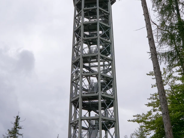 Hoge metalen uitkijktoren in het bos, omringd door hoge bomen.