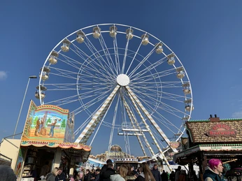 NordernEye.JPG NordernEye