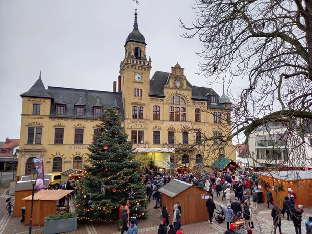 Weihnachtsmarkt Bad Lausick - Weihnachten in der Region Leipzig Großer Tannenbaum auf dem Weihnachtsmarkt vor historischem Rathaus in Bad Lausick.