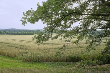 Jubiläumsweg