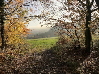 Noller Schlucht