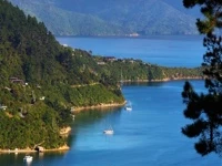 1_Küste auf der Südinsel.jpg