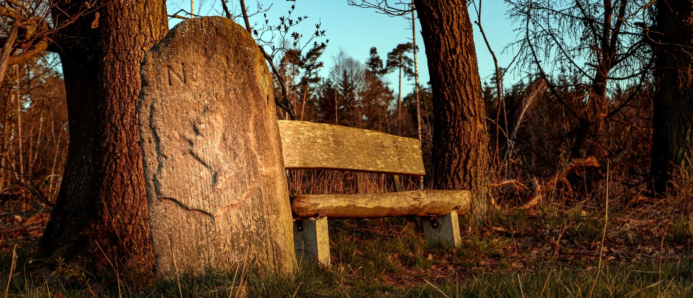 Historischer Grenzstein bei Bad Zwesten