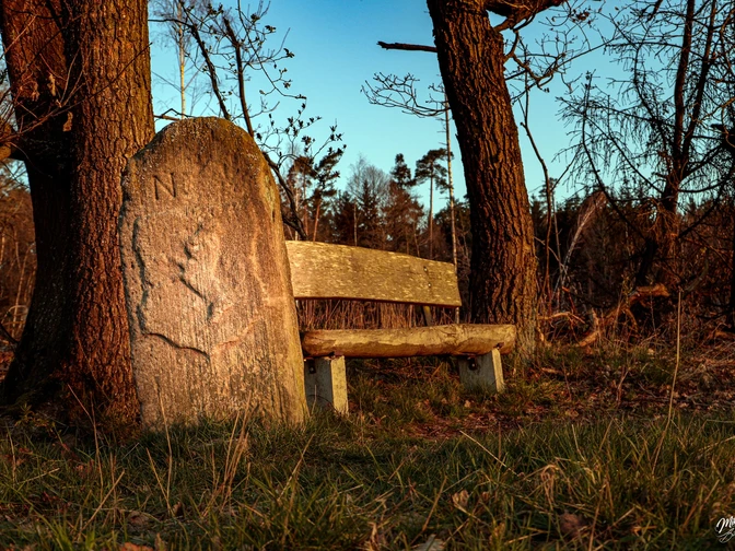 Historischer Grenzstein bei Bad Zwesten