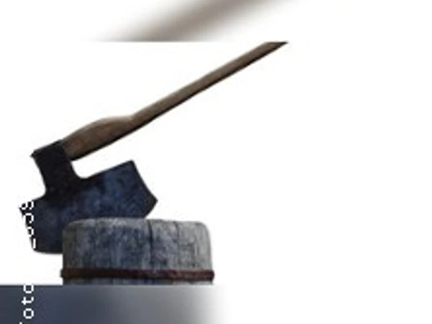 Axt auf steinernem Block, symbolisierend für Handwerkskunst.