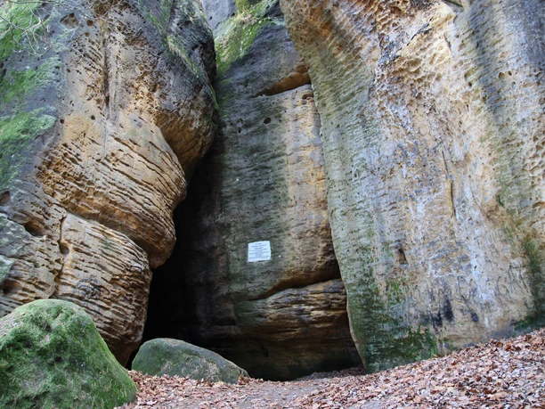 Eingang Götzinger Höhle an den Bärensteinen Hohe Sandsteinfelsen umgeben einen schmalen Durchgang in einem Wald.