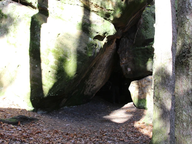 Forest path covered with foliage leads to a large rock cave.