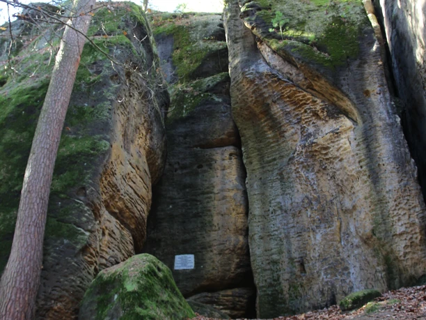 Götzinger Höhle Hohe Felsformationen in einem Wald, bedeckt mit Moos und Laub.