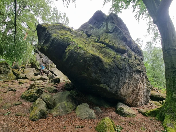 Am Zeisigstein Großer Felsblock mit Moos bedeckt im Wald, umgeben von Bäumen und kleineren Steinen.