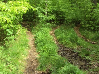 Salzgitter-Bad, Trampelpfad Wanderwege 13 und 15