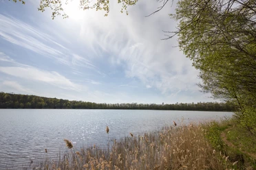 Der Reihersee im Salzgitter Höhenzug