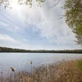 Der Reihersee im Salzgitter Höhenzug