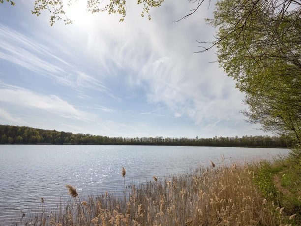 Der Reihersee im Salzgitter Höhenzug