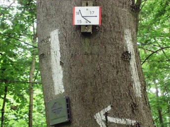 Salzgitter-Bad, große Wegekreuzung auf dem Knickelnberg Wanderwege 15, 17 und 18
