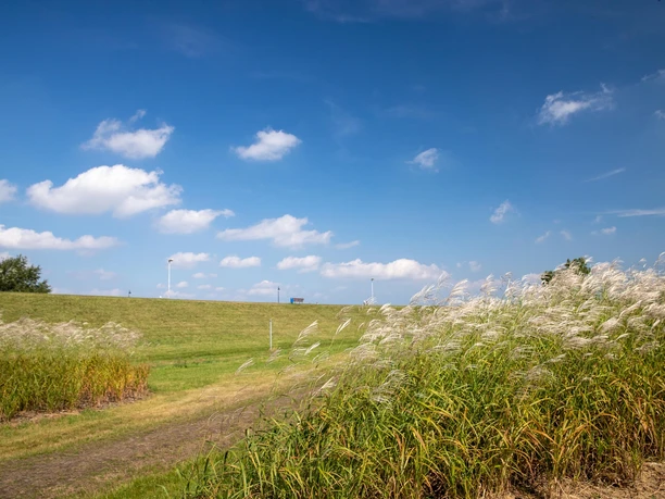 Weg binnendeichs entlang des Seekurparks im Nordseebad Dangast