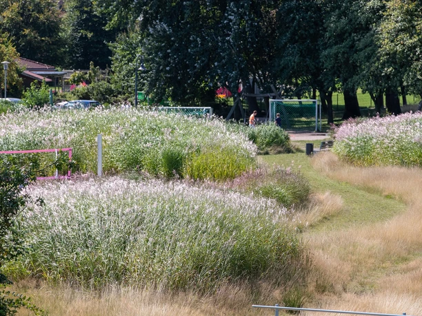Weg durch den Seekurpark im Nordseebad Dangast