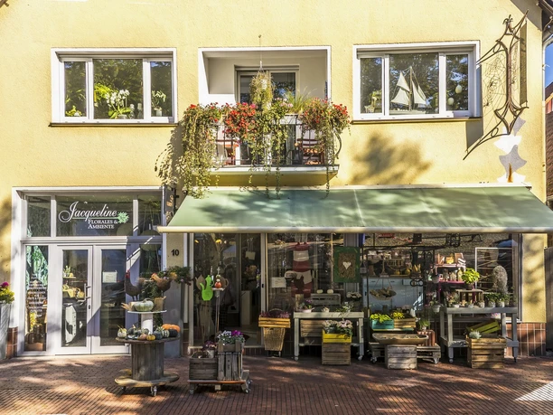 Rinteln Blumenladen Jacqueline Außenansicht Rinteln Blumenladen Jacqueline Außenansicht